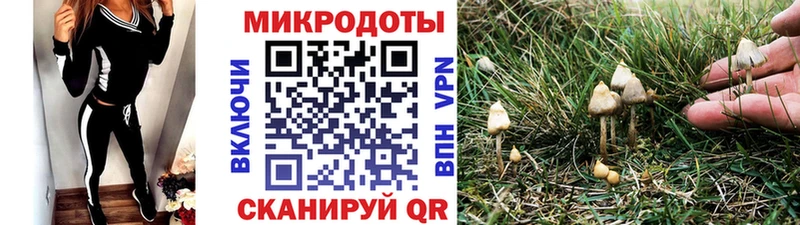 Галлюциногенные грибы GOLDEN TEACHER  Острогожск 